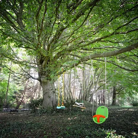 Maison Matachot Bed and breakfast