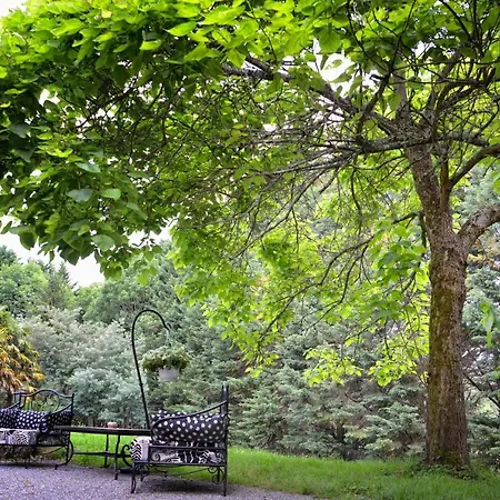 Bed and breakfast Maison Matachot Orthez