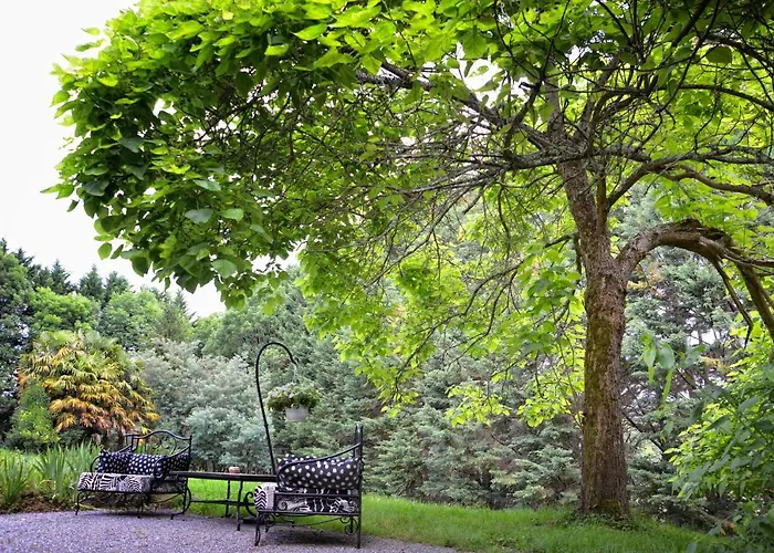 Bed and breakfast Maison Matachot Orthez